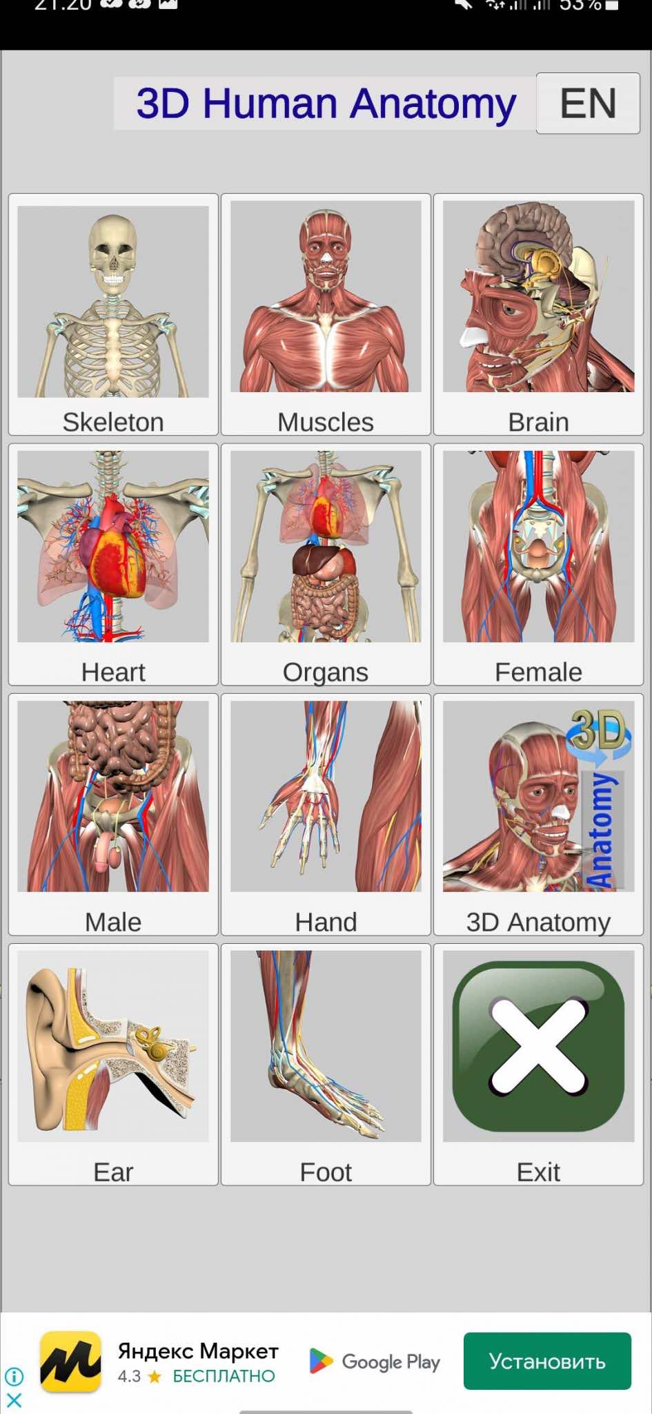 Anatomy learning 3d