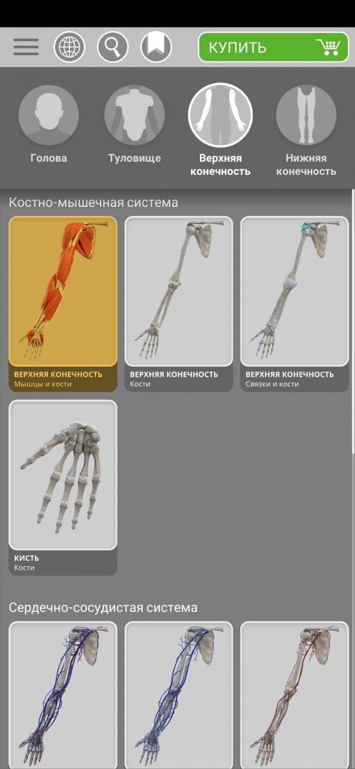 anatomy-3d-atlas-category-main-700x1517