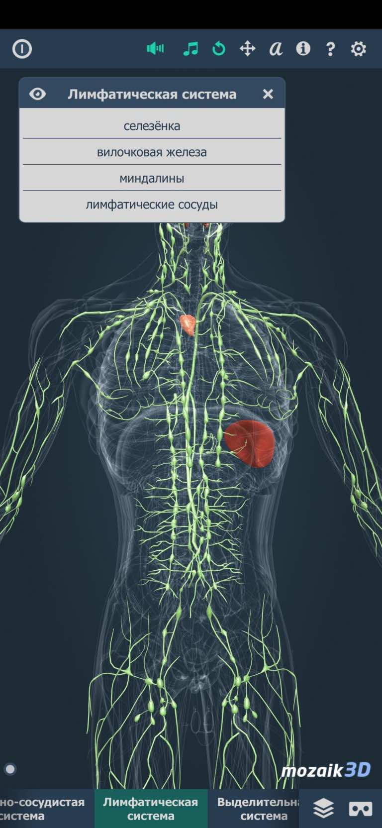 8 лучших приложений по анатомии человека для студентов и школьников