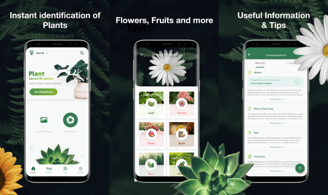 Программа для определения растений по фото для андроид на русском бесплатно