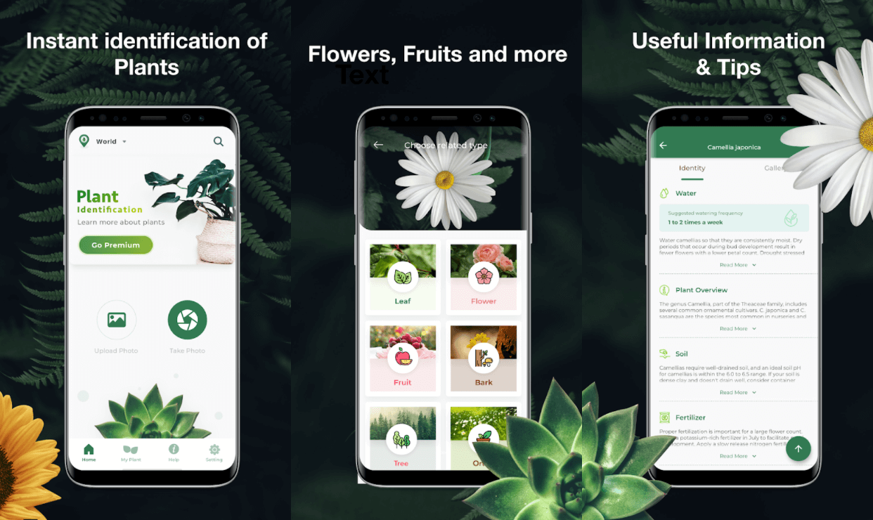 Распознавание растений по фото для андроид на русском