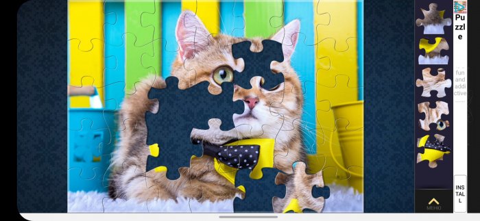 magic-puzzles-cat-700x323