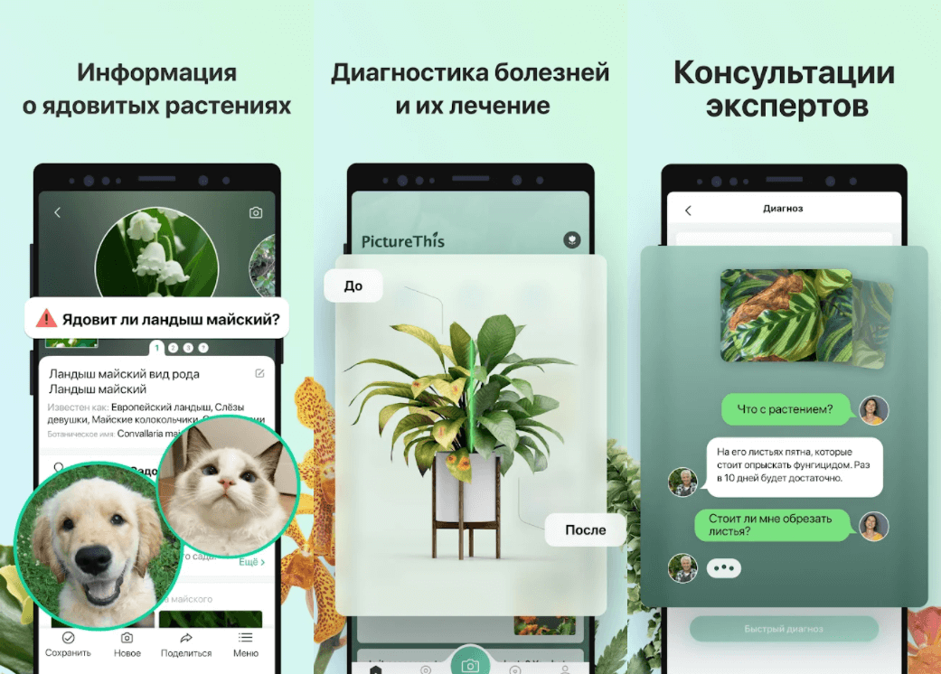 Программа для определения растений по фото для андроид на русском бесплатно