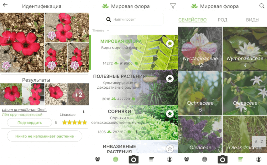 Приложение для определения растений по фото на русском для андроид