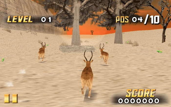 savanna race