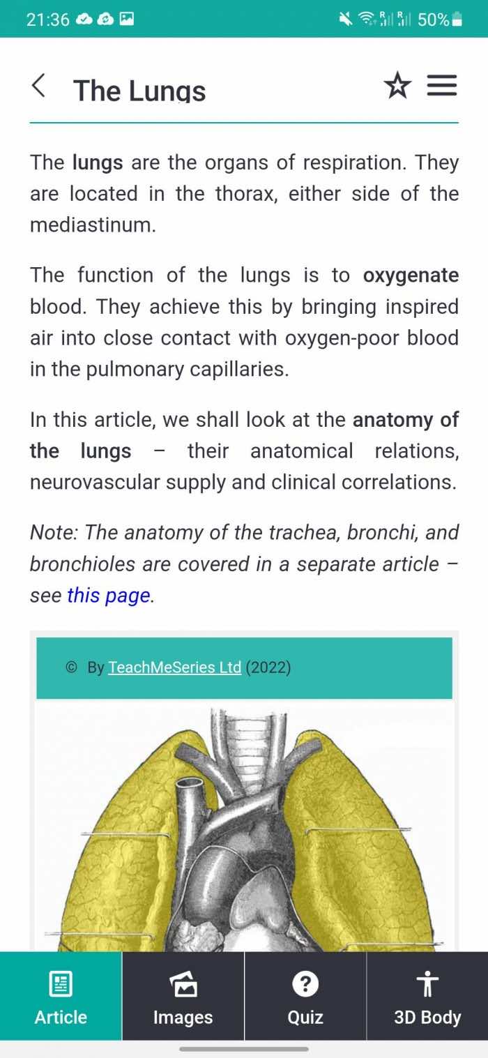 teach-me-anatomy-lungs-700x1517