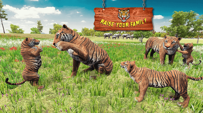 ultimate-tiger-family